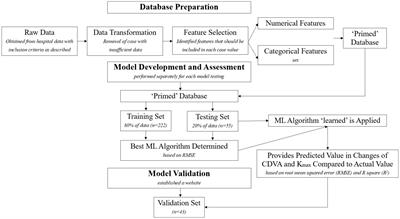 Development and validation to predict visual acuity and keratometry two years after corneal crosslinking with progressive keratoconus by machine learning